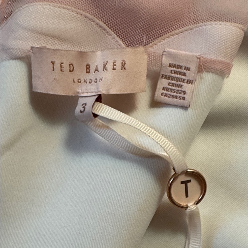 NWT TED BAKER  Arionah Palace Gardens Scallop Dusty Pink dress size 3, size US 8 - Picture 15 of 16